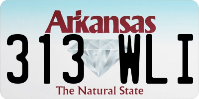 AR license plate 313WLI