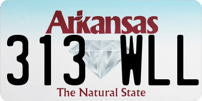 AR license plate 313WLL