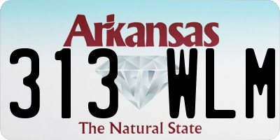 AR license plate 313WLM