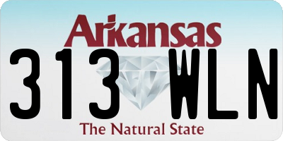 AR license plate 313WLN