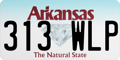 AR license plate 313WLP