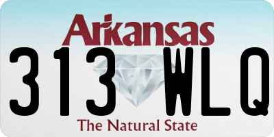 AR license plate 313WLQ