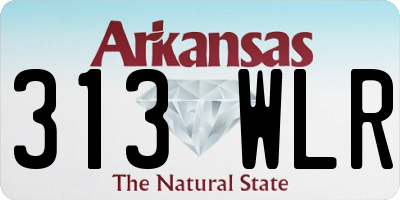AR license plate 313WLR