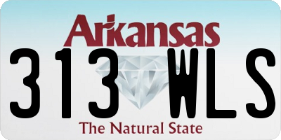 AR license plate 313WLS