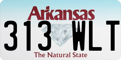 AR license plate 313WLT