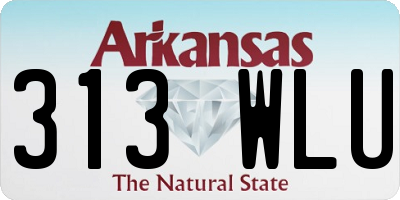 AR license plate 313WLU