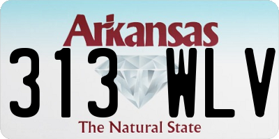 AR license plate 313WLV