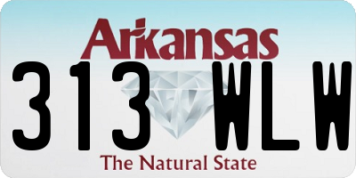 AR license plate 313WLW