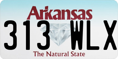 AR license plate 313WLX