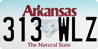 AR license plate 313WLZ