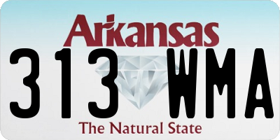 AR license plate 313WMA