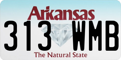 AR license plate 313WMB