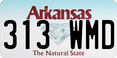 AR license plate 313WMD