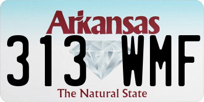 AR license plate 313WMF