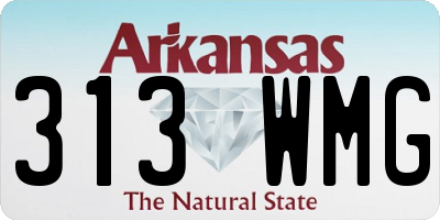 AR license plate 313WMG
