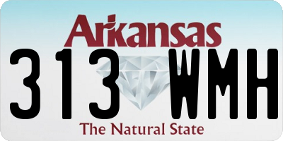 AR license plate 313WMH