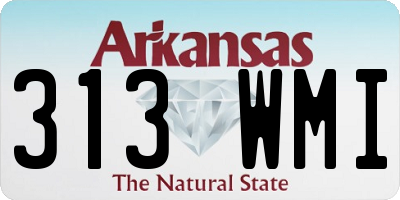 AR license plate 313WMI