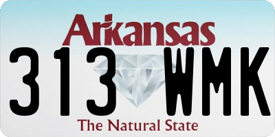 AR license plate 313WMK