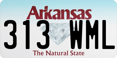 AR license plate 313WML