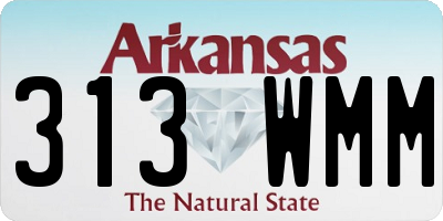 AR license plate 313WMM