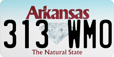AR license plate 313WMO