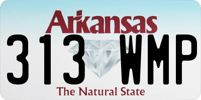 AR license plate 313WMP