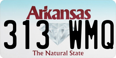 AR license plate 313WMQ
