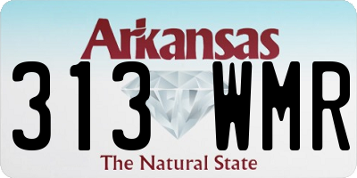 AR license plate 313WMR