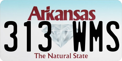 AR license plate 313WMS
