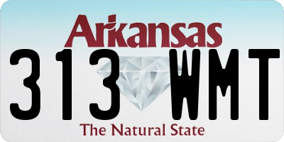 AR license plate 313WMT