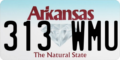 AR license plate 313WMU