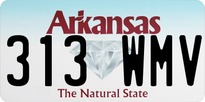 AR license plate 313WMV