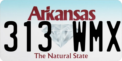 AR license plate 313WMX