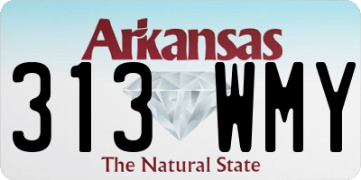 AR license plate 313WMY
