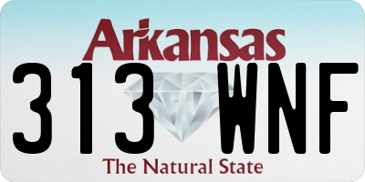AR license plate 313WNF