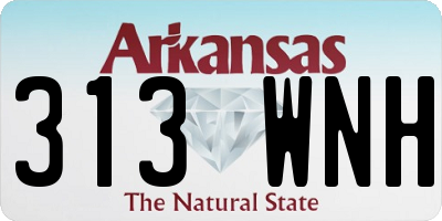 AR license plate 313WNH