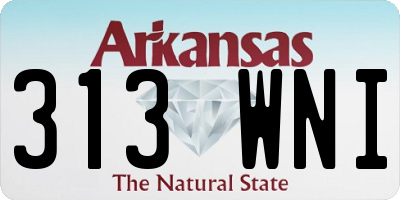 AR license plate 313WNI