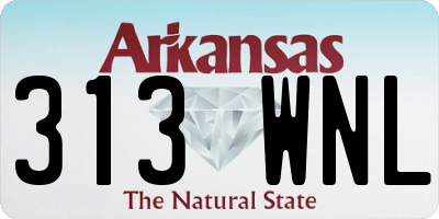 AR license plate 313WNL