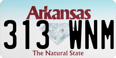 AR license plate 313WNM