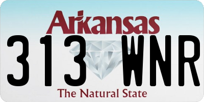 AR license plate 313WNR