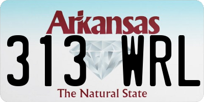 AR license plate 313WRL