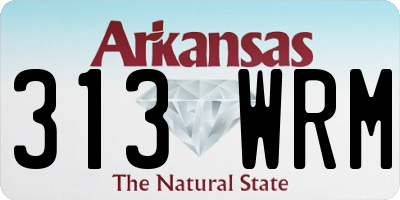AR license plate 313WRM