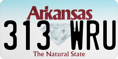 AR license plate 313WRU