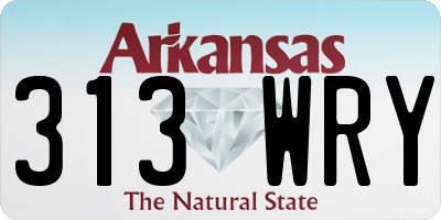 AR license plate 313WRY