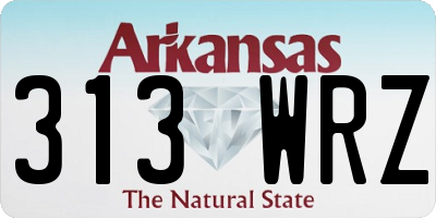 AR license plate 313WRZ