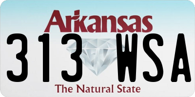 AR license plate 313WSA