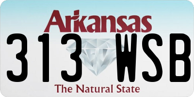 AR license plate 313WSB