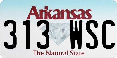 AR license plate 313WSC