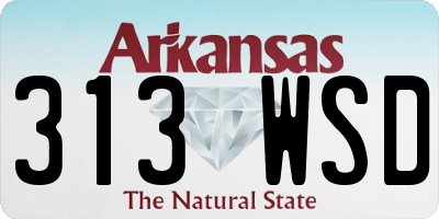 AR license plate 313WSD