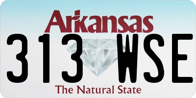 AR license plate 313WSE